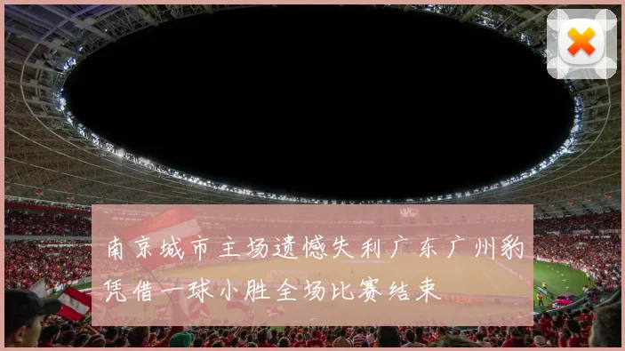 南京城市主场遗憾失利广东广州豹凭借一球小胜全场比赛结束