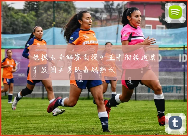 樊振东全锦赛前提升正手衔接速度引发国乒男队备战热议